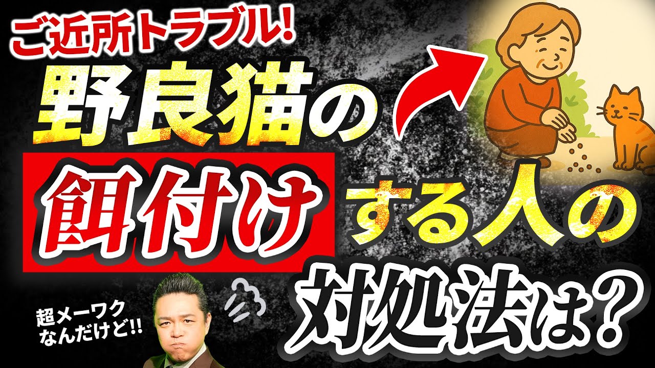 野良猫の餌付けトラブル徹底解説！ペット禁止アパートでの実際に使える対策＆対処法！